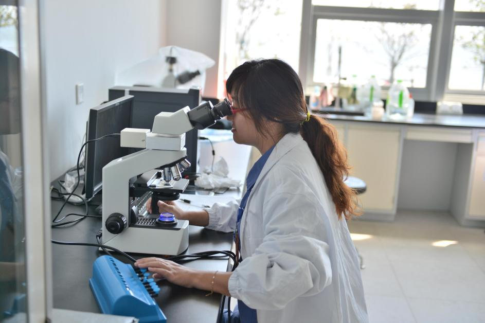 612ddb6ee4d12.png 612ddb6ee4d12.png